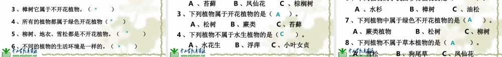 教科小学科学六上《4.3、多种多样的植物》PPT课件(3)【加微信公众号 jiaoxuewuyou 九折优惠 qq 1119139686】.ppt