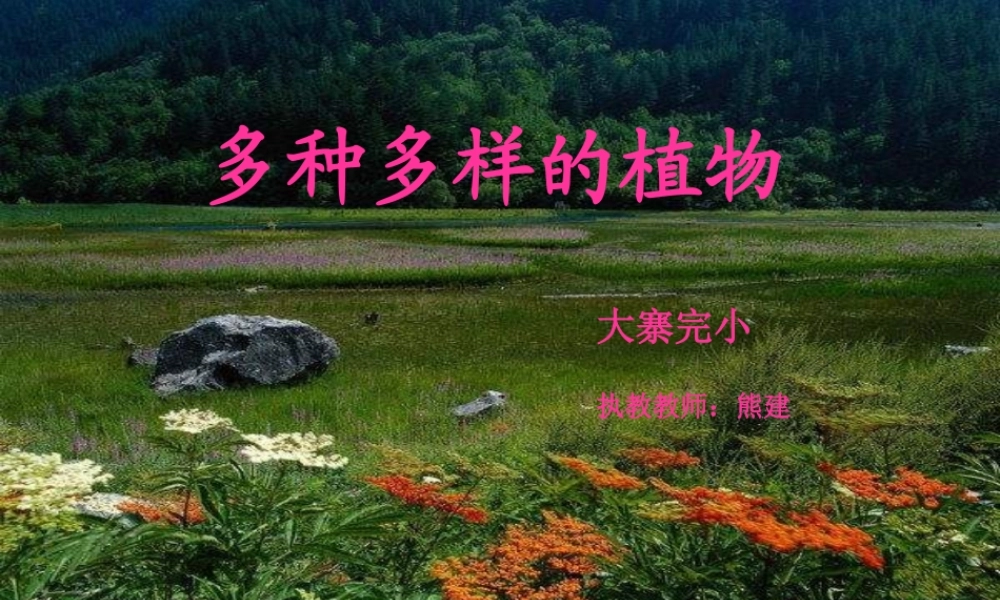 教科小学科学六上《4.3、多种多样的植物》PPT课件(6)【加微信公众号 jiaoxuewuyou 九折优惠 qq 1119139686】.ppt