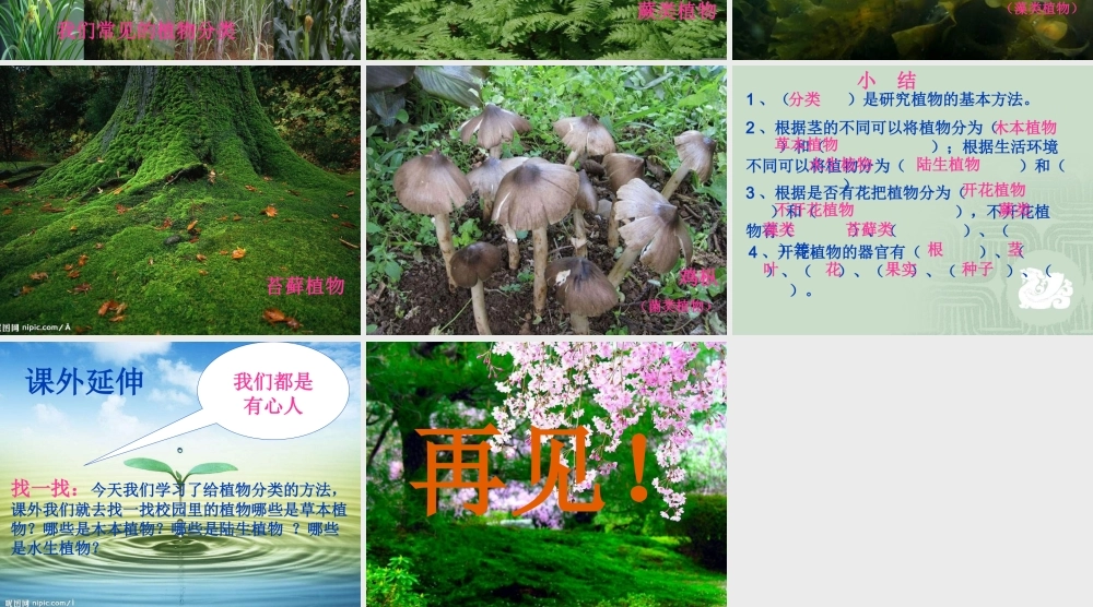 教科小学科学六上《4.3、多种多样的植物》PPT课件(6)【加微信公众号 jiaoxuewuyou 九折优惠 qq 1119139686】.ppt