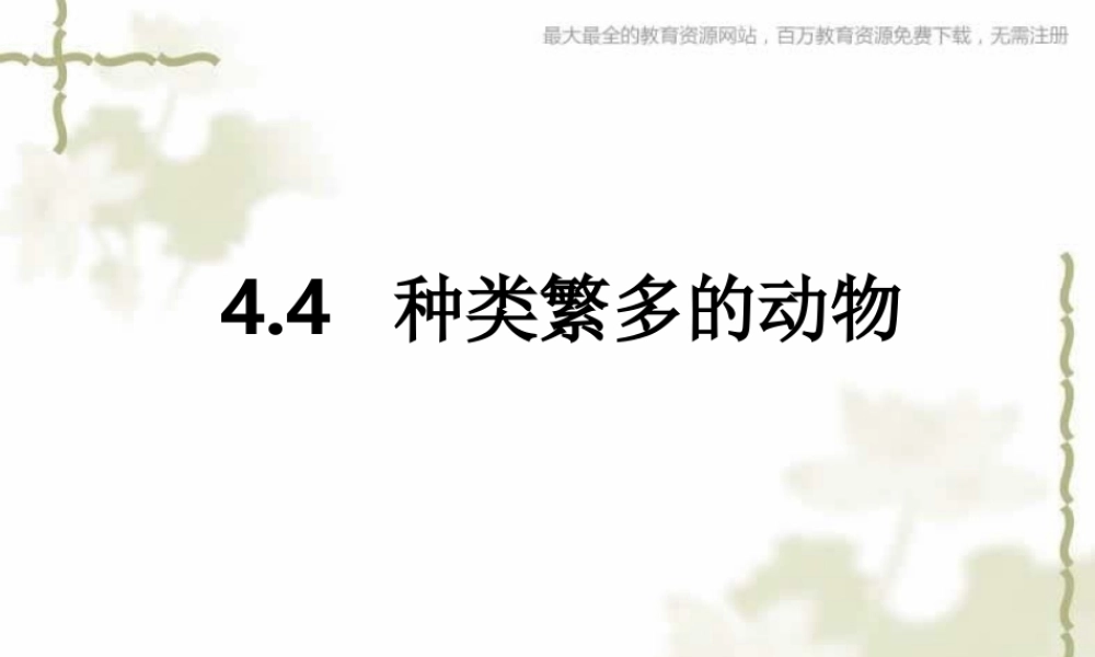 教科小学科学六上《4.4、种类繁多的动物》PPT课件(4)【加微信公众号 jiaoxuewuyou 九折优惠 qq 1119139686】.ppt