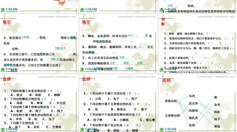 教科小学科学六上《4.4、种类繁多的动物》PPT课件(4)【加微信公众号 jiaoxuewuyou 九折优惠 qq 1119139686】.ppt
