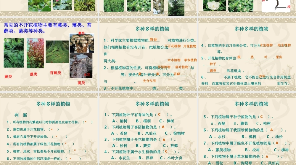 教科小学科学六上《4.3、多种多样的植物》PPT课件(9)【加微信公众号 jiaoxuewuyou 九折优惠 qq 1119139686】.ppt