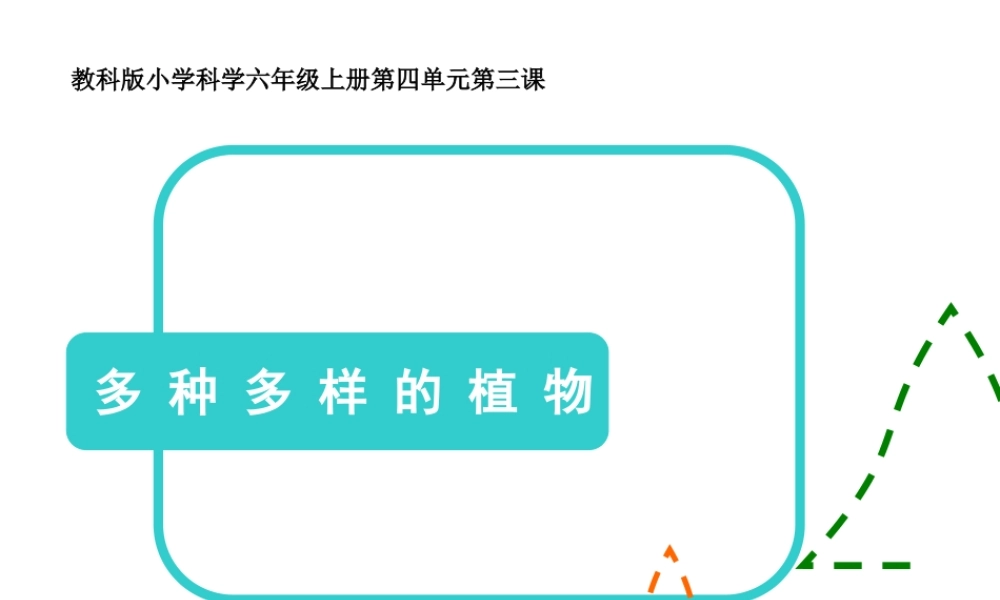 教科小学科学六上《4.3、多种多样的植物》PPT课件(7)【加微信公众号 jiaoxuewuyou 九折优惠 qq 1119139686】.ppt
