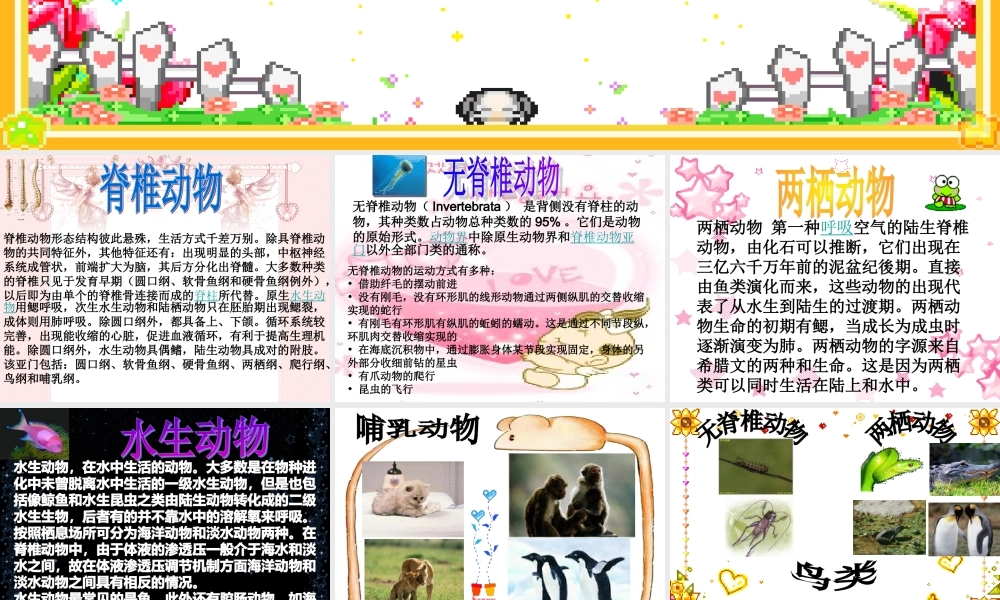 教科小学科学六上《4.4、种类繁多的动物》PPT课件(5)【加微信公众号 jiaoxuewuyou 九折优惠 qq 1119139686】.ppt