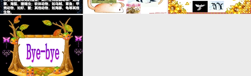 教科小学科学六上《4.4、种类繁多的动物》PPT课件(5)【加微信公众号 jiaoxuewuyou 九折优惠 qq 1119139686】.ppt