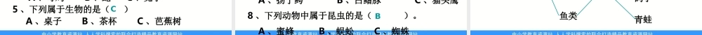 教科小学科学六上《4.4、种类繁多的动物》PPT课件(2)【加微信公众号 jiaoxuewuyou 九折优惠 qq 1119139686】.ppt