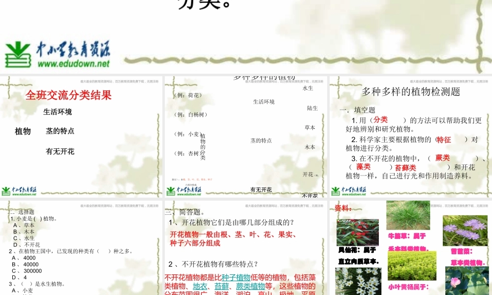 教科小学科学六上《4.3、多种多样的植物》PPT课件(8)【加微信公众号 jiaoxuewuyou 九折优惠 qq 1119139686】.ppt