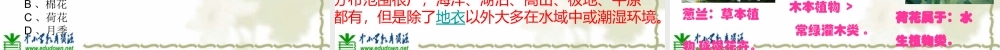 教科小学科学六上《4.3、多种多样的植物》PPT课件(8)【加微信公众号 jiaoxuewuyou 九折优惠 qq 1119139686】.ppt