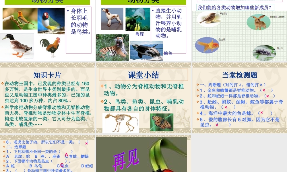 教科小学科学六上《4.4、种类繁多的动物》PPT课件(8)【加微信公众号 jiaoxuewuyou 九折优惠 qq 1119139686】.ppt