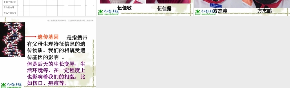 教科小学科学六上《4.5、相貌各异的我们》PPT课件(5)【加微信公众号 jiaoxuewuyou 九折优惠 qq 1119139686】.ppt