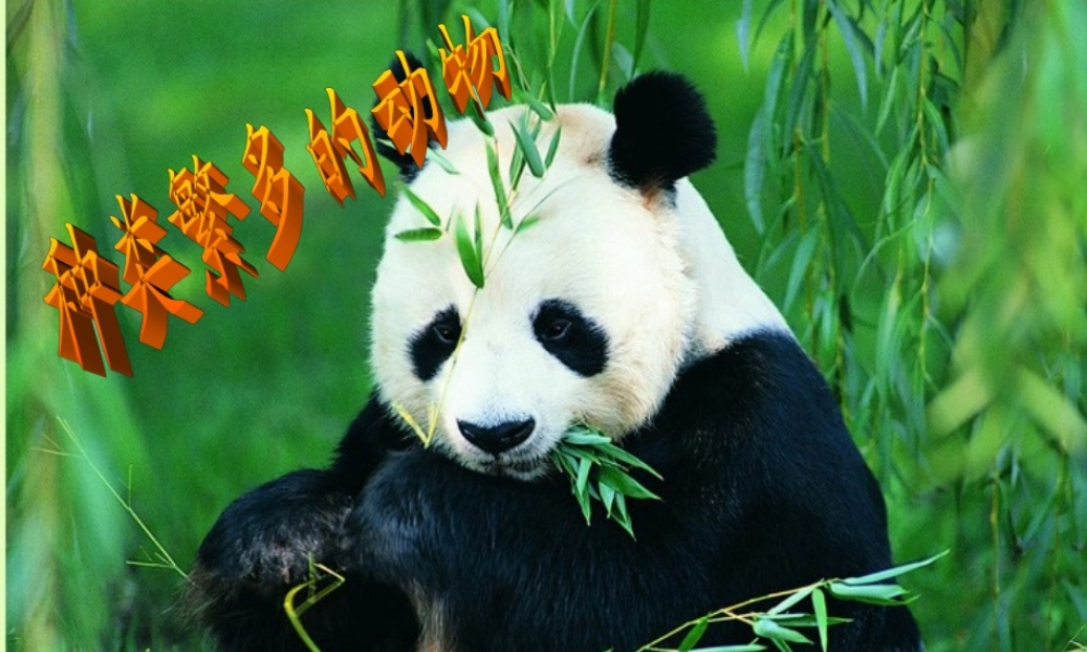 教科小学科学六上《4.4、种类繁多的动物》PPT课件(3)【加微信公众号 jiaoxuewuyou 九折优惠 qq 1119139686】.ppt