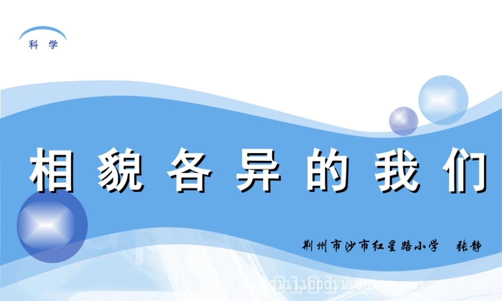 教科小学科学六上《4.5、相貌各异的我们》PPT课件(7)【加微信公众号 jiaoxuewuyou 九折优惠 qq 1119139686】.ppt