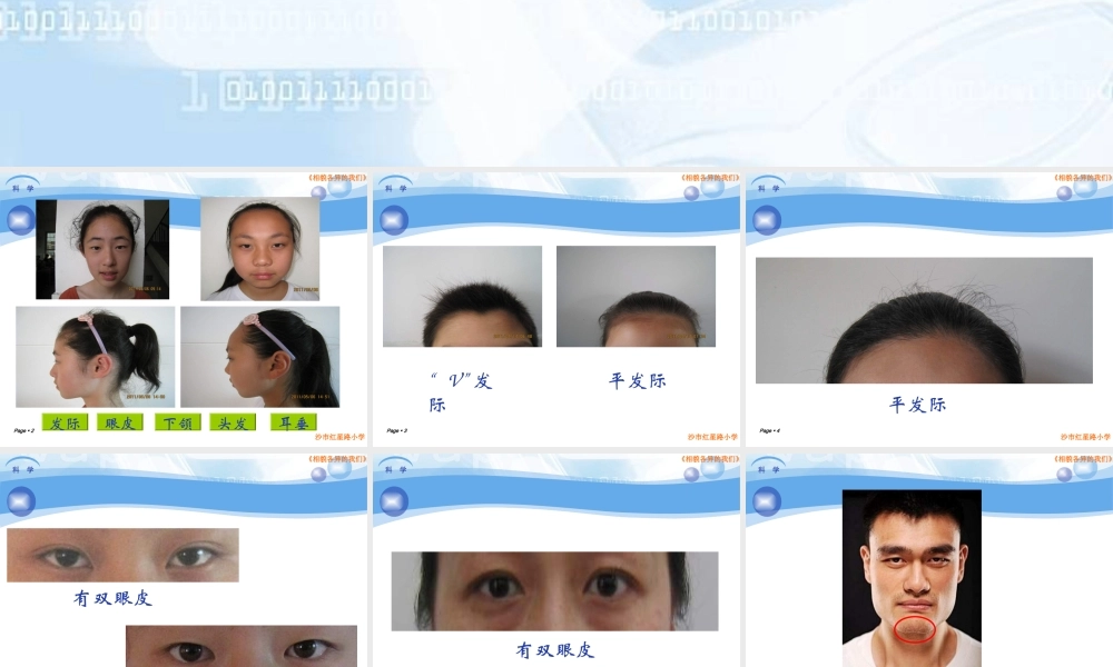 教科小学科学六上《4.5、相貌各异的我们》PPT课件(7)【加微信公众号 jiaoxuewuyou 九折优惠 qq 1119139686】.ppt