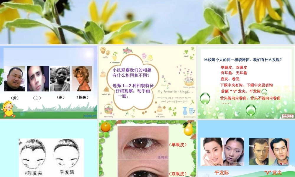 教科小学科学六上《4.5、相貌各异的我们》PPT课件(8)【加微信公众号 jiaoxuewuyou 九折优惠 qq 1119139686】.ppt