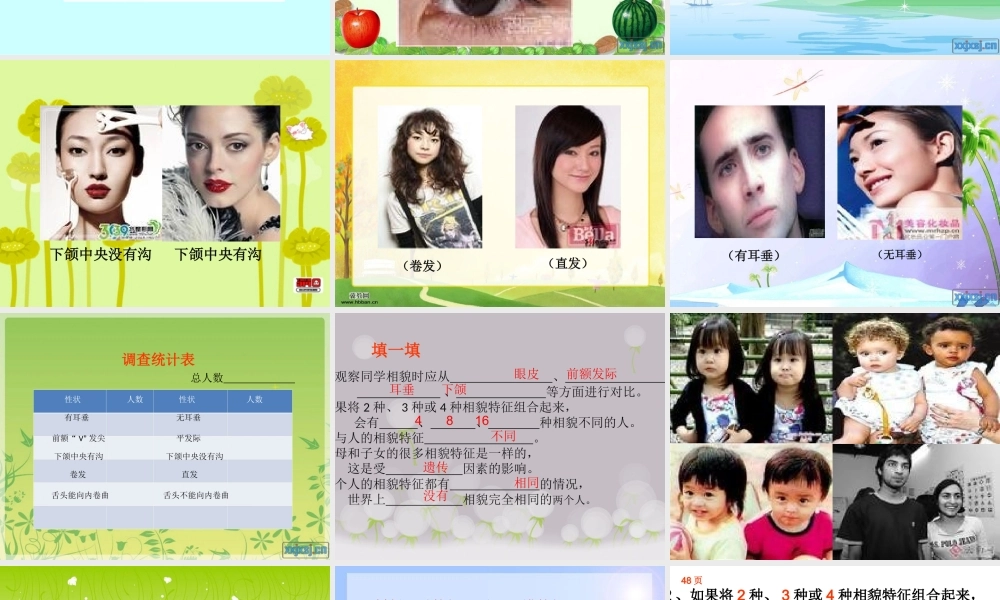 教科小学科学六上《4.5、相貌各异的我们》PPT课件(8)【加微信公众号 jiaoxuewuyou 九折优惠 qq 1119139686】.ppt