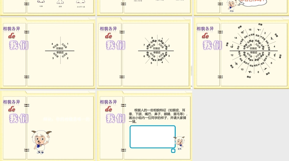 教科小学科学六上《4.5、相貌各异的我们》PPT课件(4)【加微信公众号 jiaoxuewuyou 九折优惠 qq 1119139686】.ppt