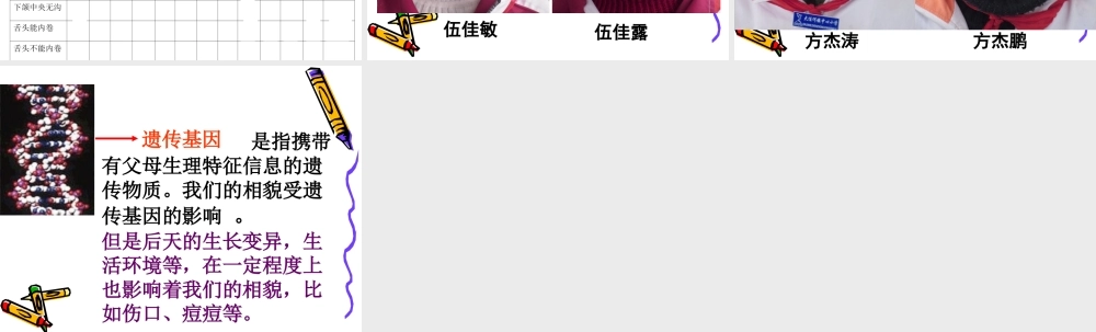 教科小学科学六上《4.5、相貌各异的我们》PPT课件(2)【加微信公众号 jiaoxuewuyou 九折优惠 qq 1119139686】.ppt