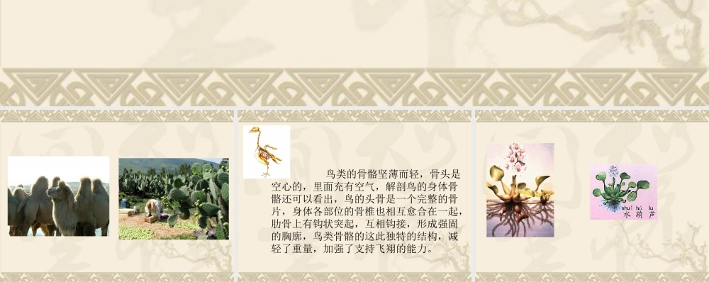 教科小学科学六上《4.6、原来是相关联的》PPT课件(2)【加微信公众号 jiaoxuewuyou 九折优惠 qq 1119139686】.ppt