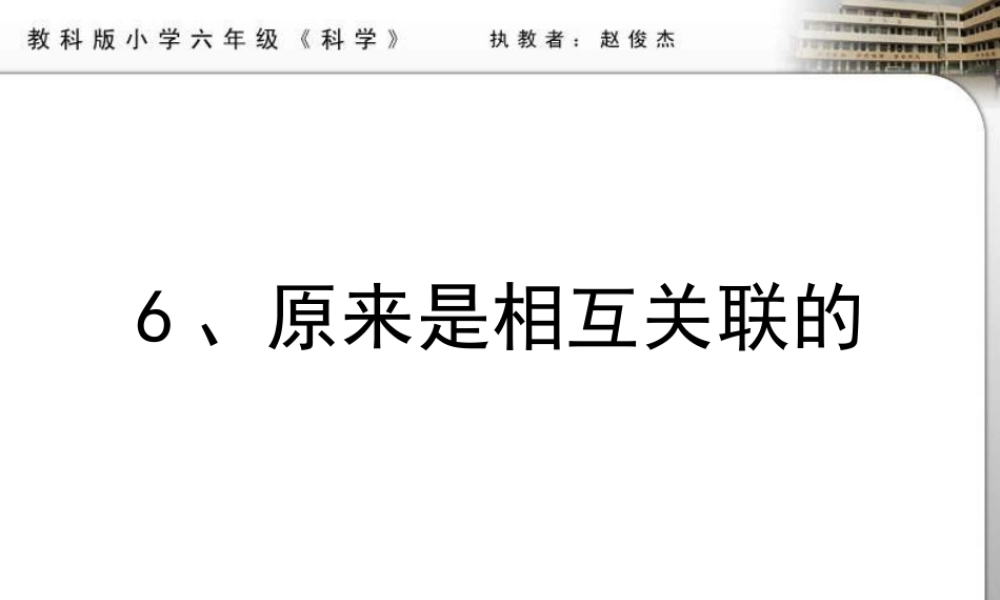 教科小学科学六上《4.6、原来是相关联的》PPT课件(10)【加微信公众号 jiaoxuewuyou 九折优惠 qq 1119139686】.ppt