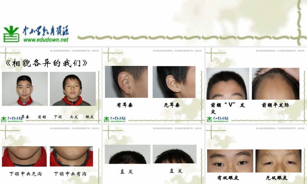 教科小学科学六上《4.5、相貌各异的我们》PPT课件(6)【加微信公众号 jiaoxuewuyou 九折优惠 qq 1119139686】.ppt