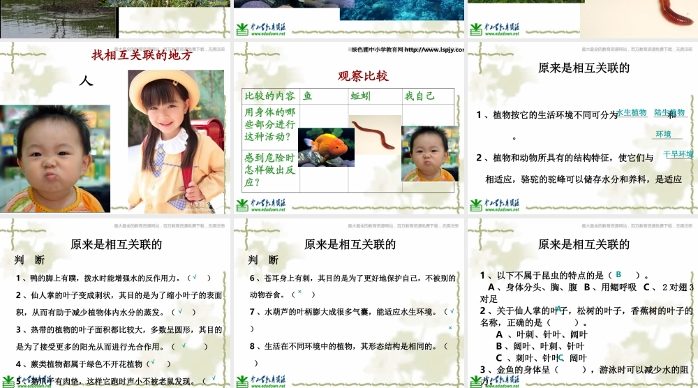 教科小学科学六上《4.6、原来是相关联的》PPT课件(4)【加微信公众号 jiaoxuewuyou 九折优惠 qq 1119139686】.ppt