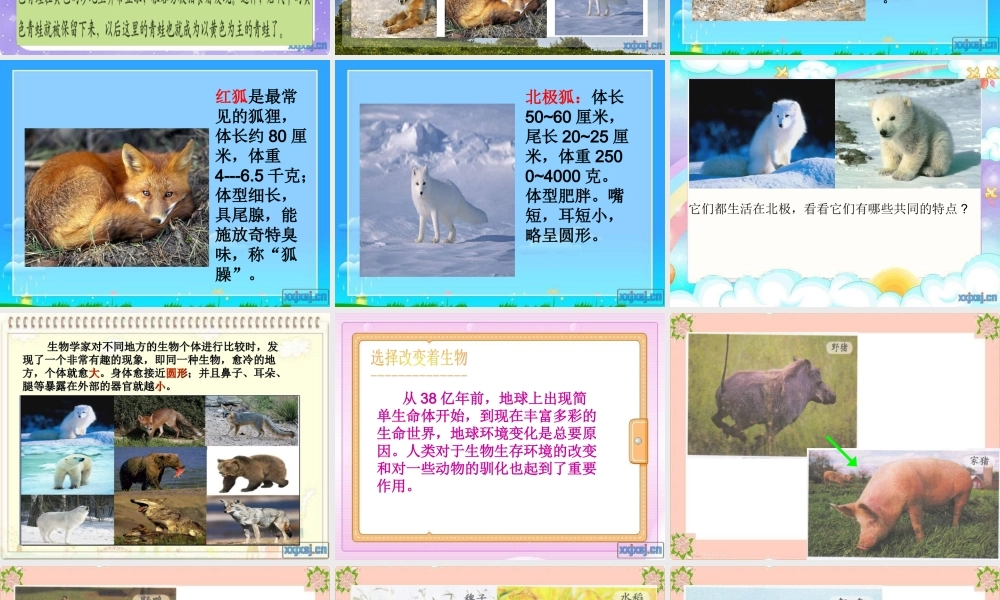 教科小学科学六上《4.7、谁选择了它们》PPT课件(2)【加微信公众号 jiaoxuewuyou 九折优惠 qq 1119139686】.ppt