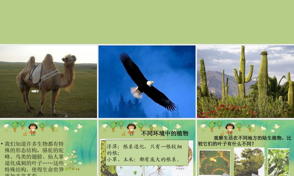 教科小学科学六上《4.6、原来是相关联的》PPT课件(7)【加微信公众号 jiaoxuewuyou 九折优惠 qq 1119139686】.ppt