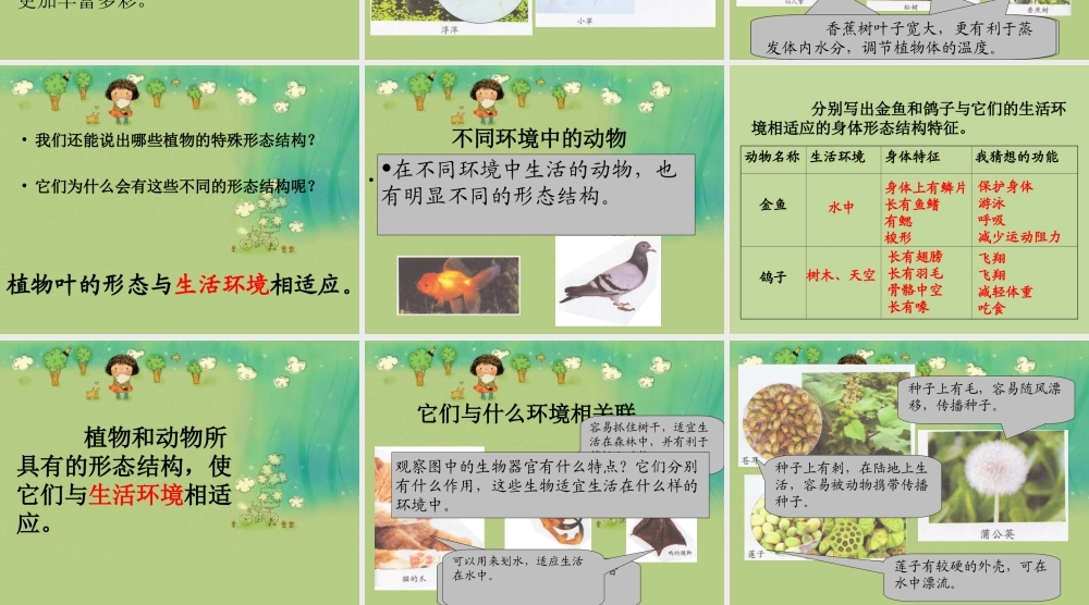 教科小学科学六上《4.6、原来是相关联的》PPT课件(7)【加微信公众号 jiaoxuewuyou 九折优惠 qq 1119139686】.ppt