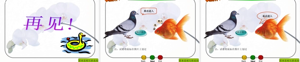 教科小学科学六上《4.6、原来是相关联的》PPT课件(1)【加微信公众号 jiaoxuewuyou 九折优惠 qq 1119139686】.ppt