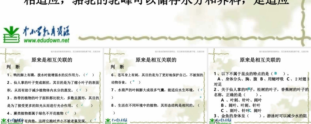 教科小学科学六上《4.6、原来是相关联的》PPT课件(3)【加微信公众号 jiaoxuewuyou 九折优惠 qq 1119139686】.ppt