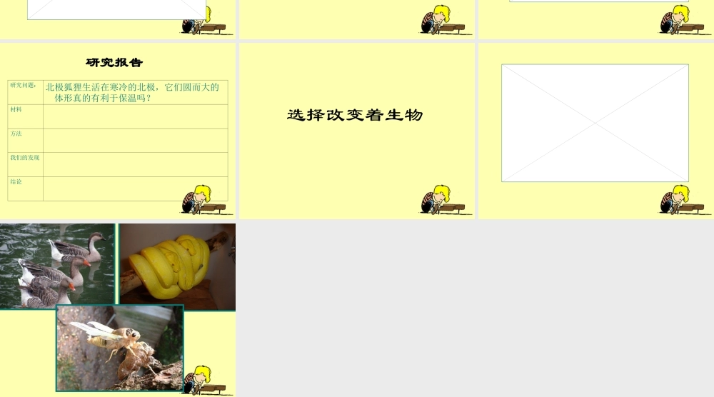 教科小学科学六上《4.7、谁选择了它们》PPT课件(1)【加微信公众号 jiaoxuewuyou 九折优惠 qq 1119139686】.ppt