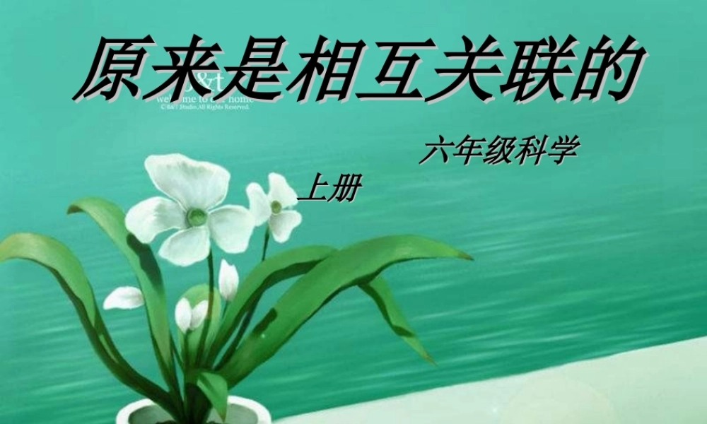 教科小学科学六上《4.6、原来是相关联的》PPT课件(8)【加微信公众号 jiaoxuewuyou 九折优惠 qq 1119139686】.ppt