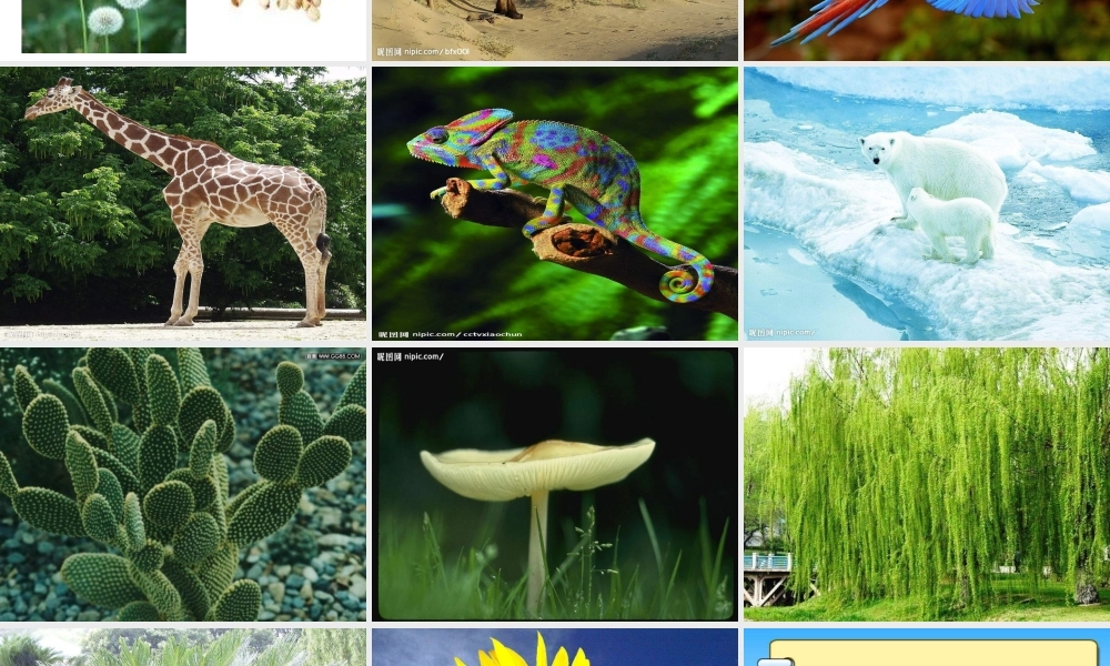 教科小学科学六上《4.6、原来是相关联的》PPT课件(8)【加微信公众号 jiaoxuewuyou 九折优惠 qq 1119139686】.ppt