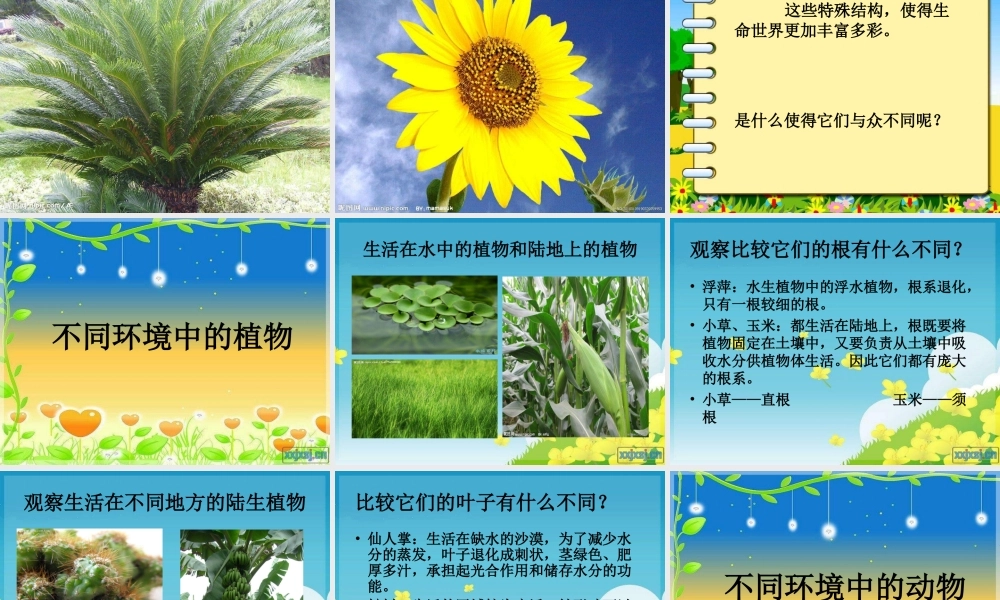 教科小学科学六上《4.6、原来是相关联的》PPT课件(8)【加微信公众号 jiaoxuewuyou 九折优惠 qq 1119139686】.ppt