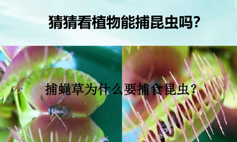 教科小学科学六上《4.6、原来是相关联的》PPT课件(5)【加微信公众号 jiaoxuewuyou 九折优惠 qq 1119139686】.ppt