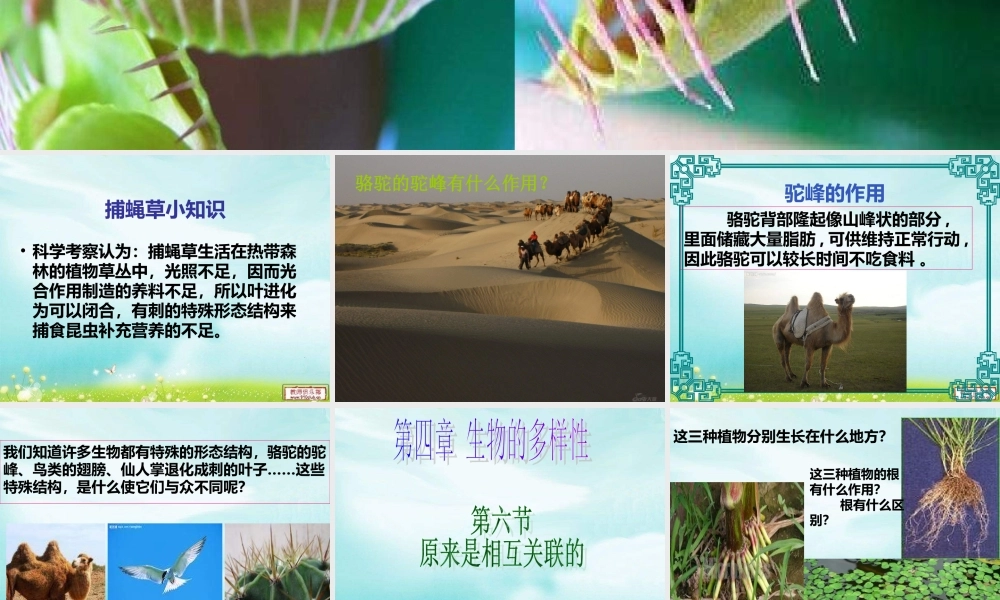 教科小学科学六上《4.6、原来是相关联的》PPT课件(5)【加微信公众号 jiaoxuewuyou 九折优惠 qq 1119139686】.ppt