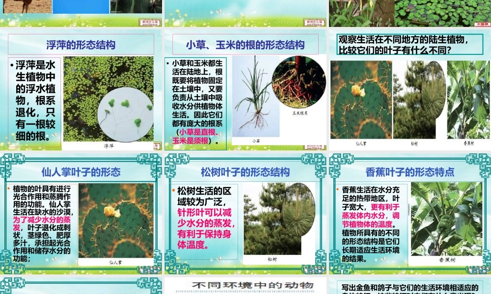 教科小学科学六上《4.6、原来是相关联的》PPT课件(5)【加微信公众号 jiaoxuewuyou 九折优惠 qq 1119139686】.ppt