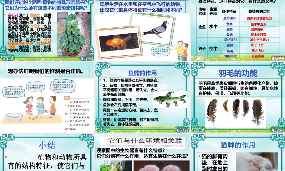 教科小学科学六上《4.6、原来是相关联的》PPT课件(5)【加微信公众号 jiaoxuewuyou 九折优惠 qq 1119139686】.ppt