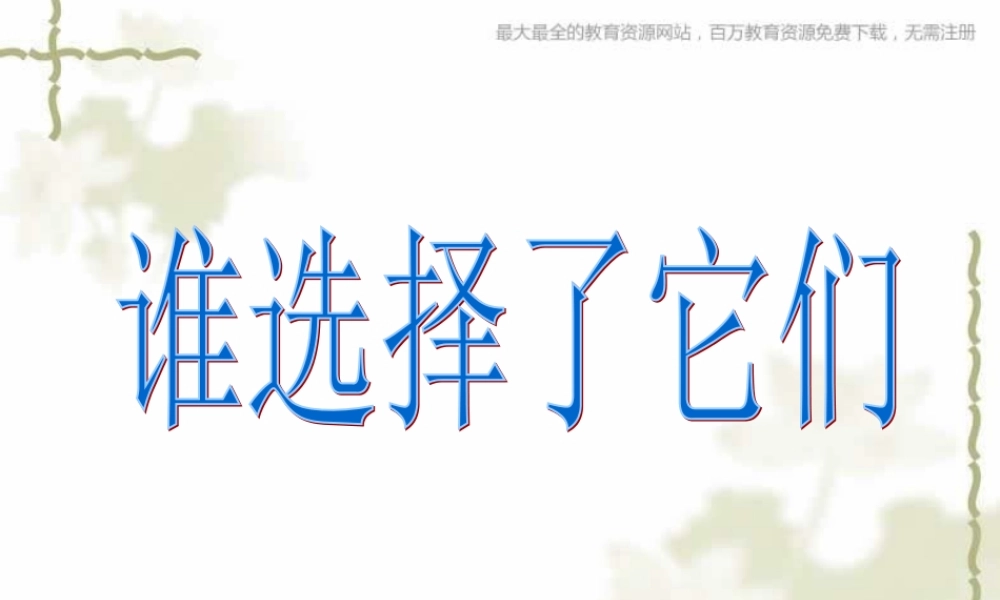 教科小学科学六上《4.7、谁选择了它们》PPT课件(6)【加微信公众号 jiaoxuewuyou 九折优惠 qq 1119139686】.ppt