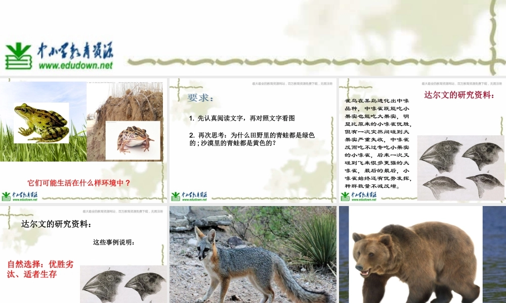 教科小学科学六上《4.7、谁选择了它们》PPT课件(6)【加微信公众号 jiaoxuewuyou 九折优惠 qq 1119139686】.ppt