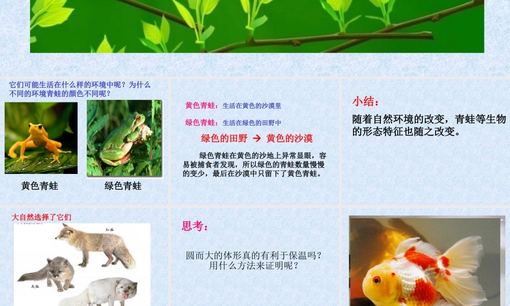 教科小学科学六上《4.7、谁选择了它们》PPT课件(3)【加微信公众号 jiaoxuewuyou 九折优惠 qq 1119139686】.ppt