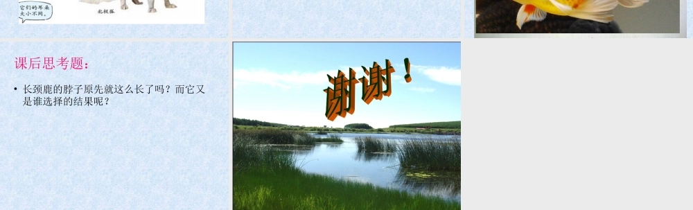 教科小学科学六上《4.7、谁选择了它们》PPT课件(3)【加微信公众号 jiaoxuewuyou 九折优惠 qq 1119139686】.ppt