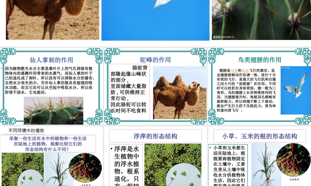 教科小学科学六上《4.6、原来是相关联的》PPT课件(6)【加微信公众号 jiaoxuewuyou 九折优惠 qq 1119139686】.ppt