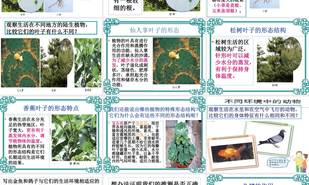 教科小学科学六上《4.6、原来是相关联的》PPT课件(6)【加微信公众号 jiaoxuewuyou 九折优惠 qq 1119139686】.ppt