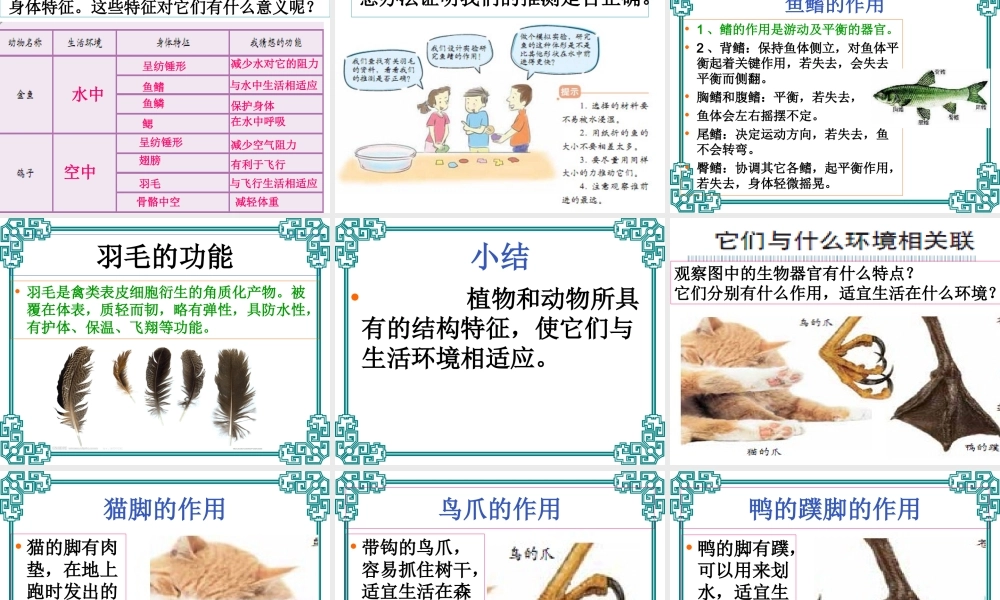 教科小学科学六上《4.6、原来是相关联的》PPT课件(6)【加微信公众号 jiaoxuewuyou 九折优惠 qq 1119139686】.ppt