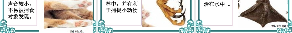 教科小学科学六上《4.6、原来是相关联的》PPT课件(6)【加微信公众号 jiaoxuewuyou 九折优惠 qq 1119139686】.ppt