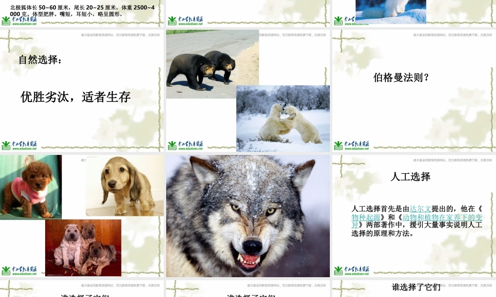 教科小学科学六上《4.7、谁选择了它们》PPT课件(4)【加微信公众号 jiaoxuewuyou 九折优惠 qq 1119139686】.ppt