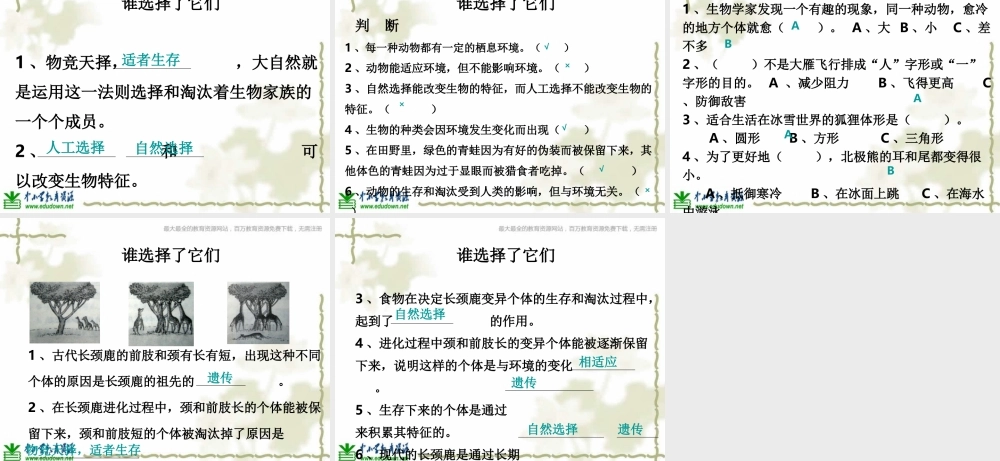 教科小学科学六上《4.7、谁选择了它们》PPT课件(4)【加微信公众号 jiaoxuewuyou 九折优惠 qq 1119139686】.ppt
