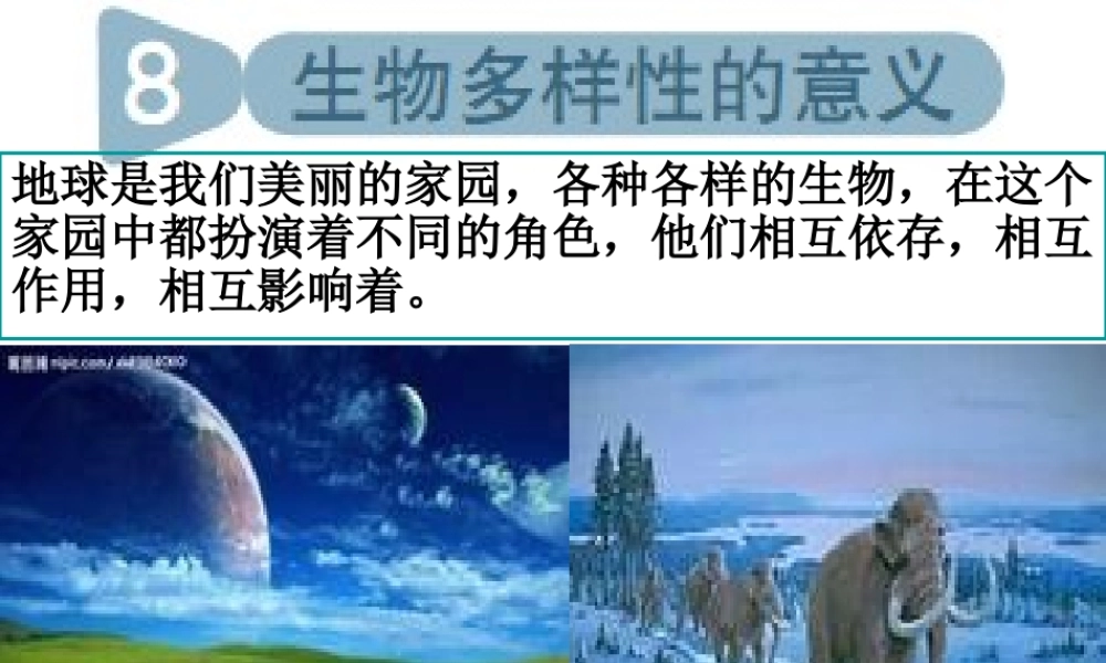 教科小学科学六上《4.8、生物多样性的意义》PPT课件(4)【加微信公众号 jiaoxuewuyou 九折优惠 qq 1119139686】.ppt