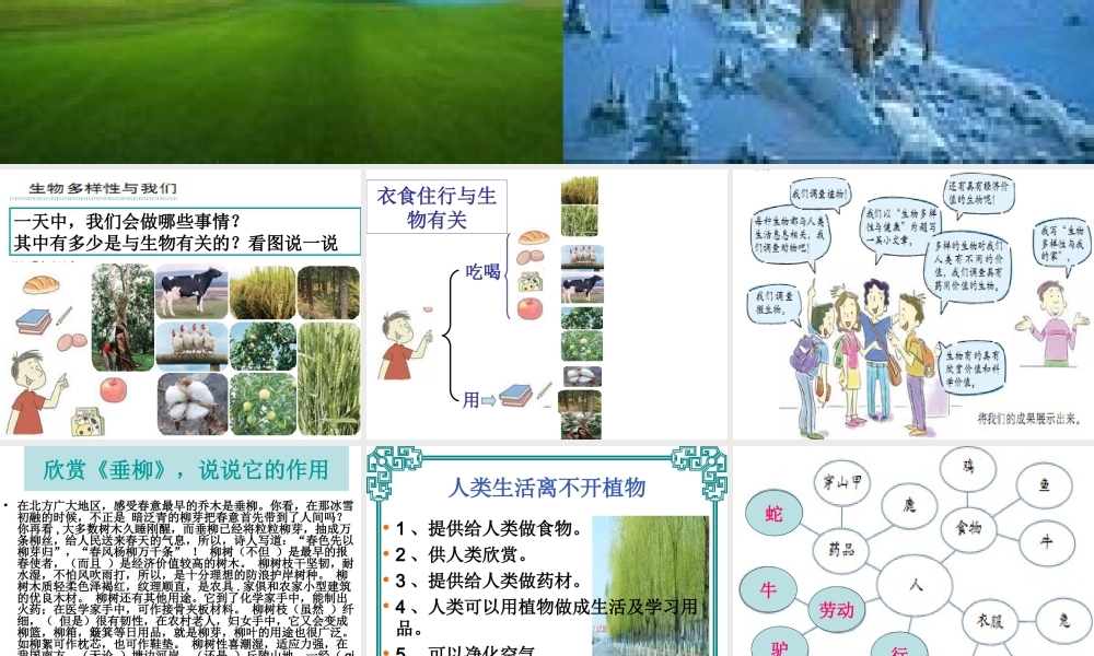 教科小学科学六上《4.8、生物多样性的意义》PPT课件(4)【加微信公众号 jiaoxuewuyou 九折优惠 qq 1119139686】.ppt